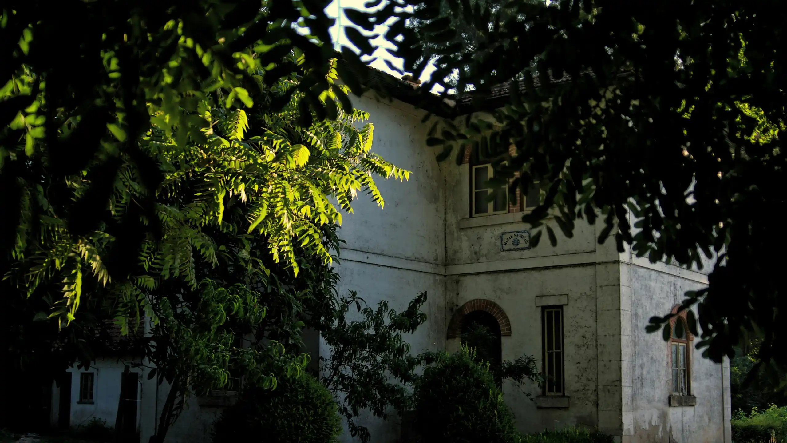 Charakter- IMMO Video